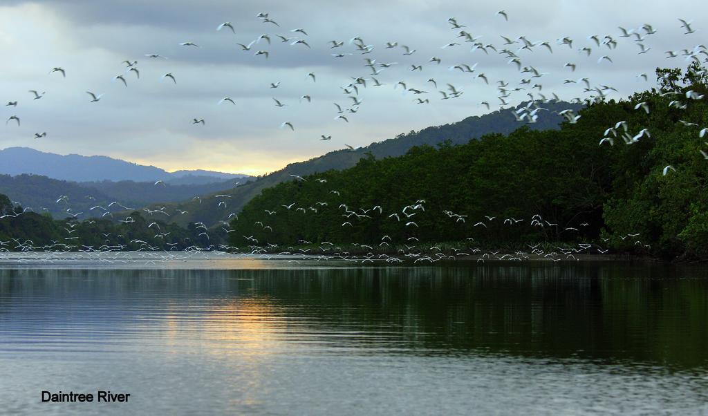 Daintree Riverview Lodges Exterior foto
