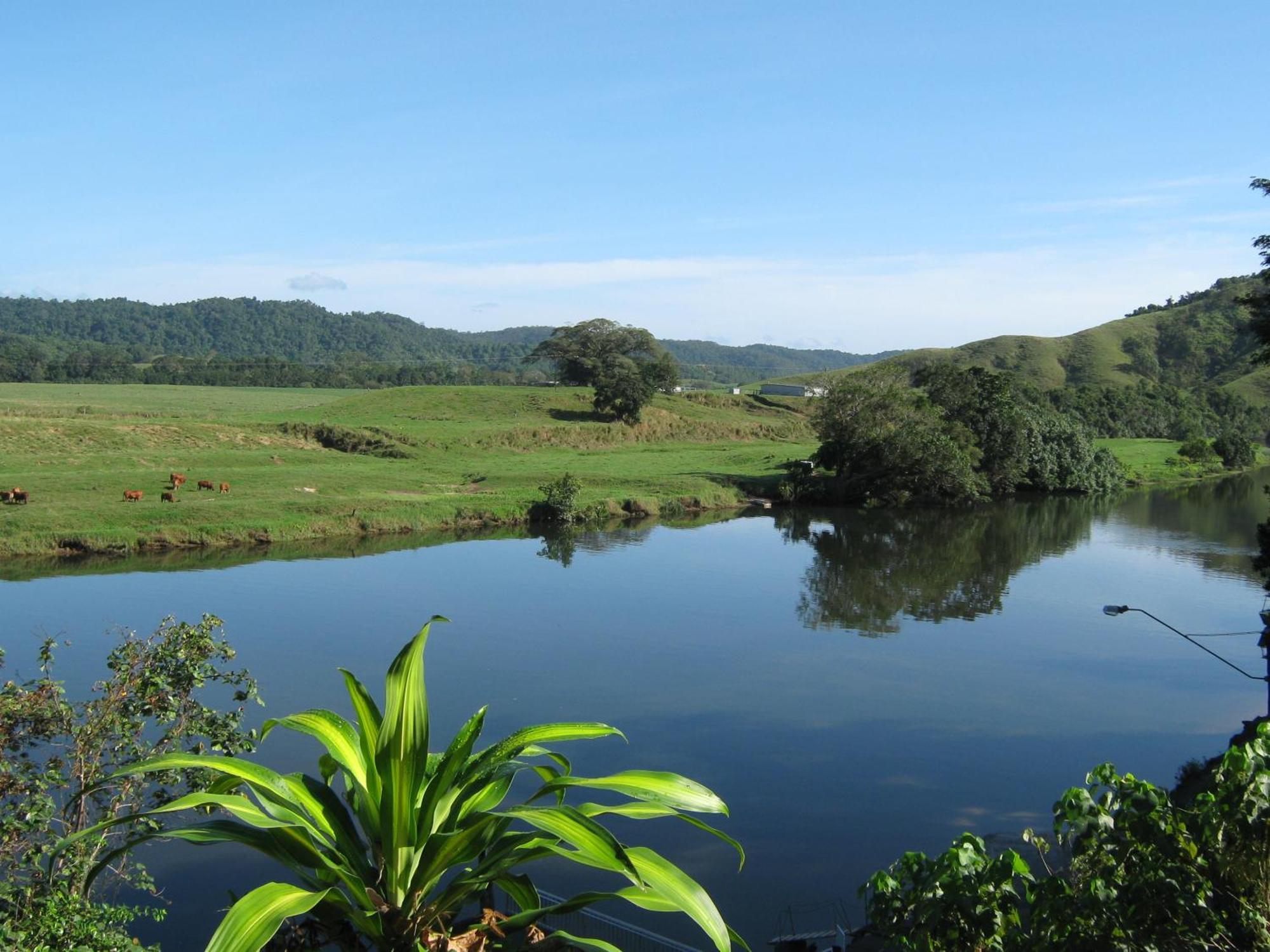Daintree Riverview Lodges Exterior foto